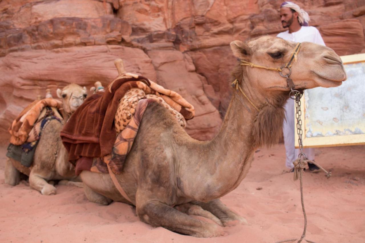 Wadi Rum Desert Home Zewnętrze zdjęcie