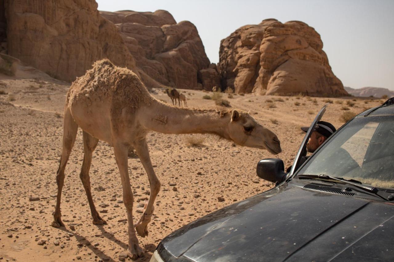 Wadi Rum Desert Home Zewnętrze zdjęcie